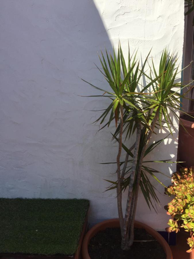 Vila Fidalgo Appartamento Nazaré Esterno foto